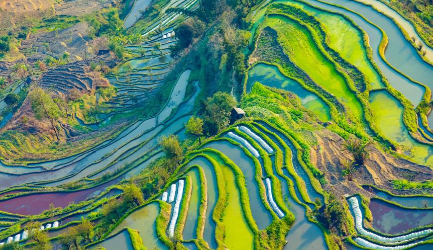宝妈必备神器：成华区产品视频拍摄轻松育儿好帮手
