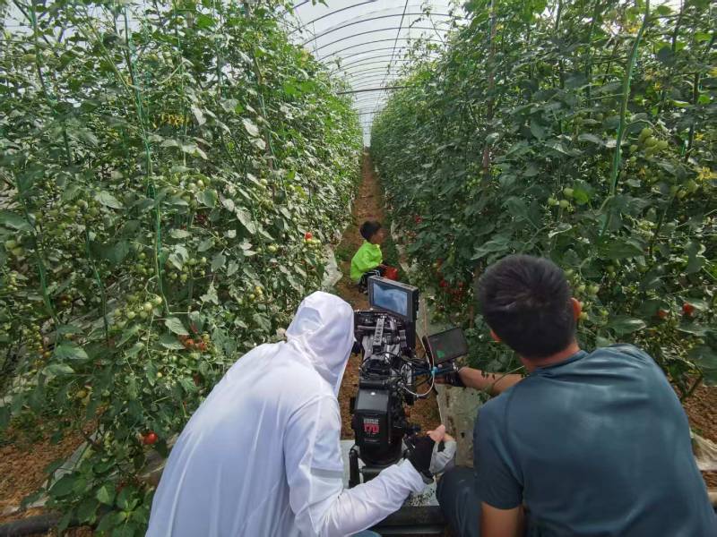 成华区产品宣传视频拍摄公司进阶指南，助力品牌抢占传播高地